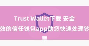 Trust Wallet下载 安全高效的信任钱包app助您快速处理钞票