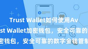 Trust Wallet如何使用Avalanche Trust Wallet加密钱包，安全可靠的数字金钱管制器具